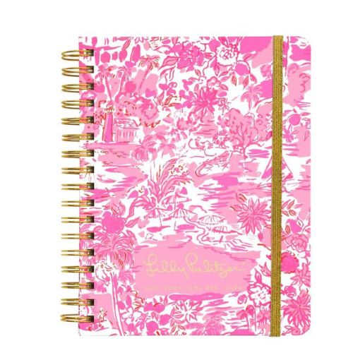 Seaside Scene, Large 17 Month Planner - Lilly Pulitzer