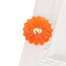 NF: Mini: Orange Daisy